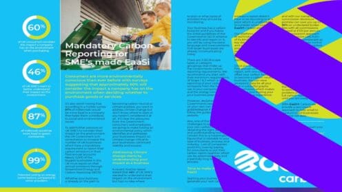 Mandatory Carbon Reporting