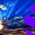 Carbon reporting software