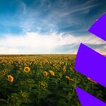 Business Energy Quotes