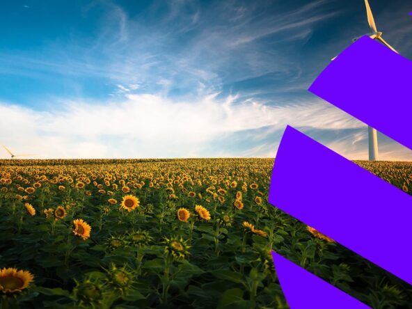 Business Energy Quotes